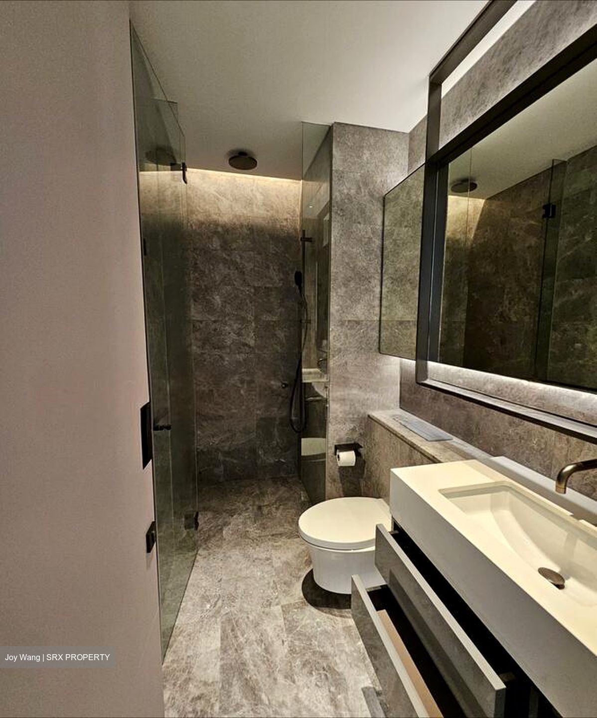 Cuscaden Reserve (D10), Condominium #498379071